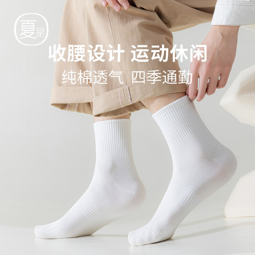 经典束腰男中筒袜纯棉无骨缝合