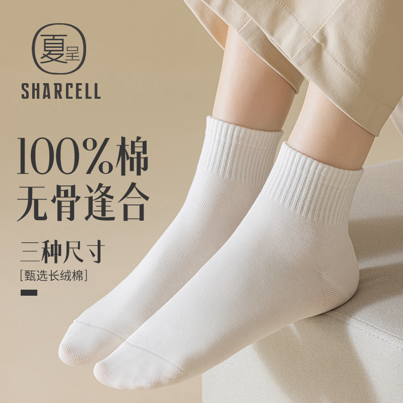 纯棉无骨短袜四季通勤款