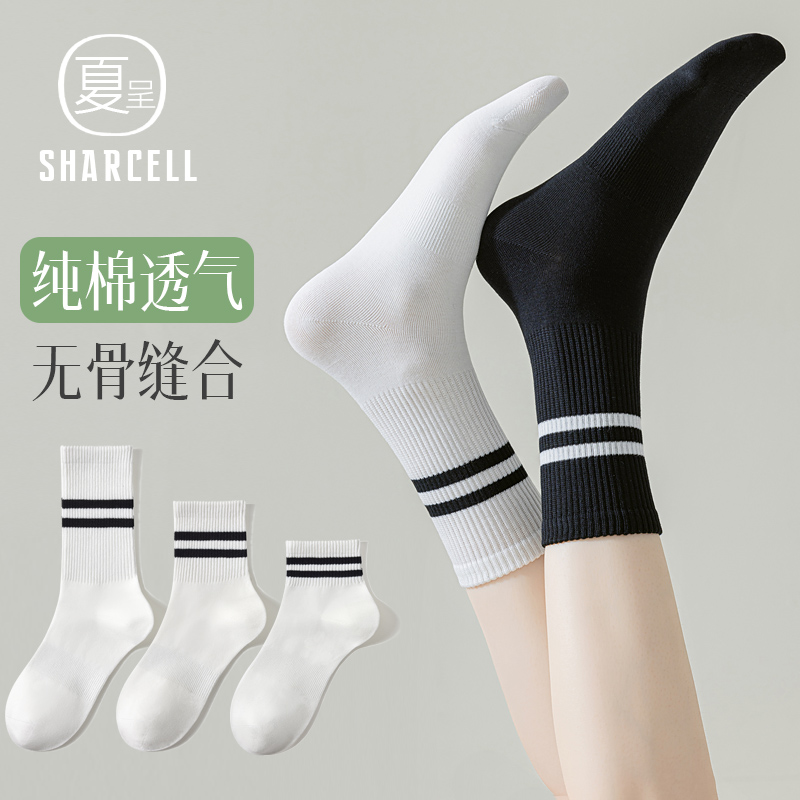 经典黑白条纹袜纯棉无骨缝合