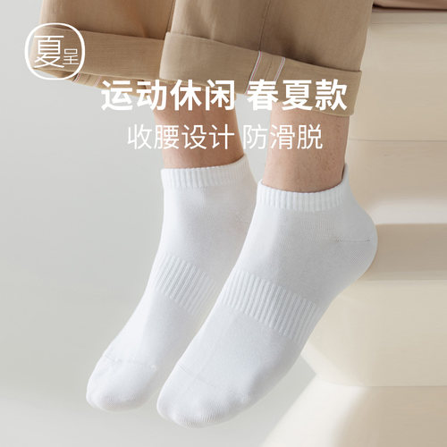 四季款低帮男士船袜纯棉无骨
