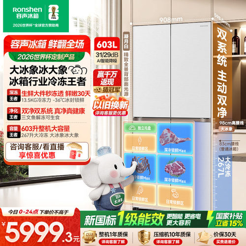 容声大冰象603冰箱行业冷冻王者