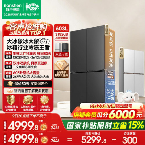 容声大冰象603冰箱行业冷冻王者