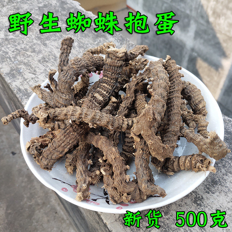 蜘蛛抱蛋野生干货一帆青飞天蜈蚣哈萨喇竹叶石上剑山蜈蚣九龙盘