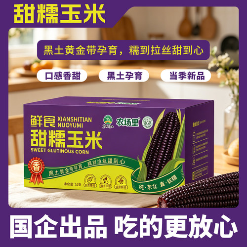 黑糯玉米10只装 黑玉米棒真空包装加热即食粗粮代餐