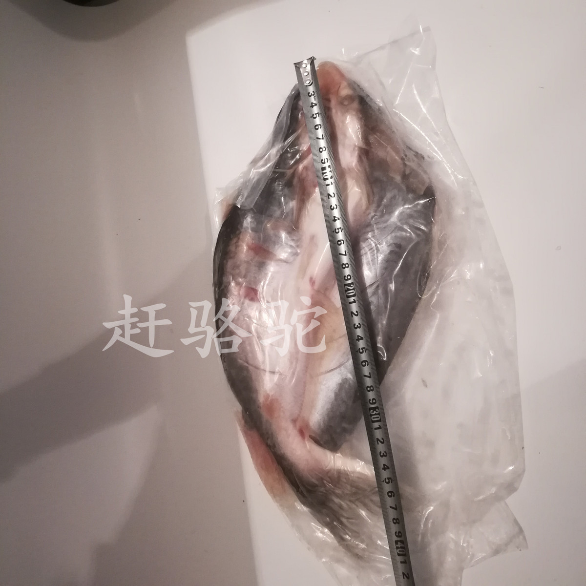 越南开背湄公鱼龙利鱼净重20斤14条巴沙鱼开背 湄公鱼多省包邮