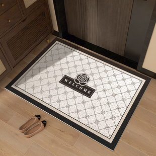 丝圈入户门地垫轻奢简约防滑脚垫家用除尘进门口毯玄关可裁剪耐脏