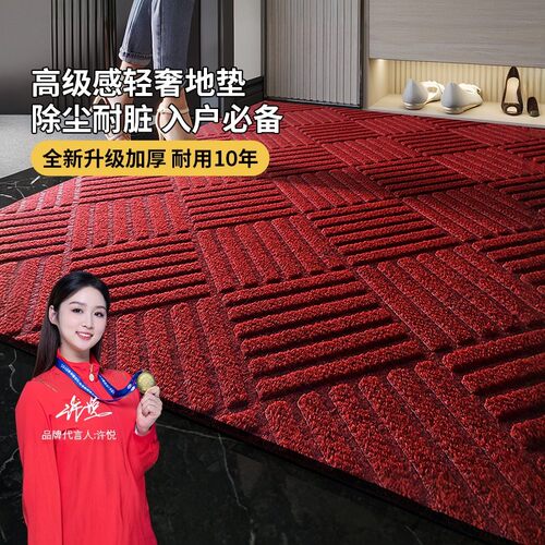 豪宅入户门防滑耐磨地垫可剪裁
