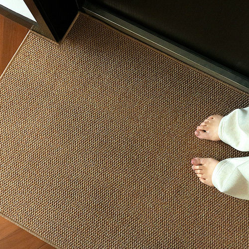 高级感入户门地垫防滑耐脏可剪裁