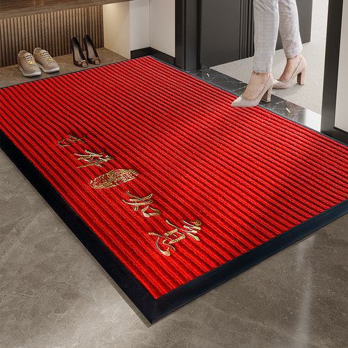 高级感刺绣入户门地垫2025新款