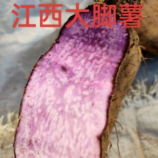 江西大脚薯紫大薯紫色山药脚板薯紫山药