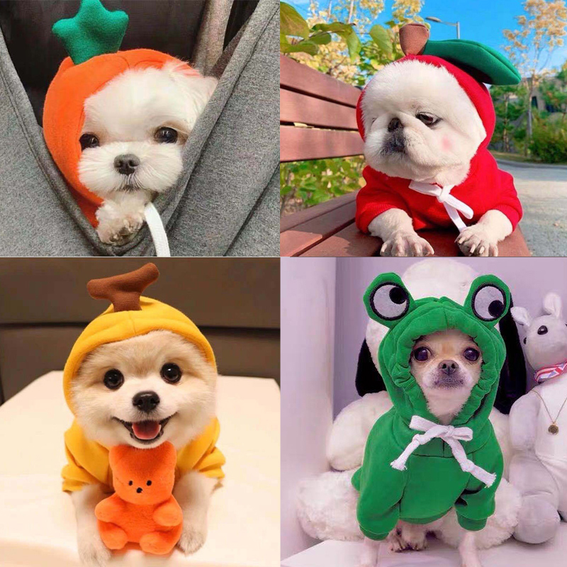 狗狗衣服新款猫咪宠物秋冬装卫衣