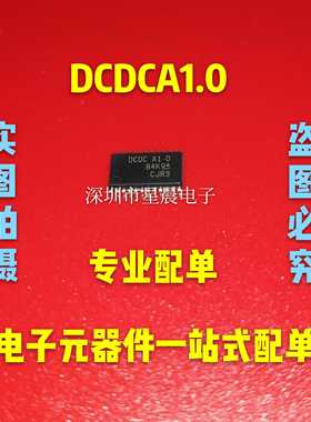 DCDC A1.0 DCDCA1.0 封装TSSOP24贴片 全新原装正品 现货可直拍