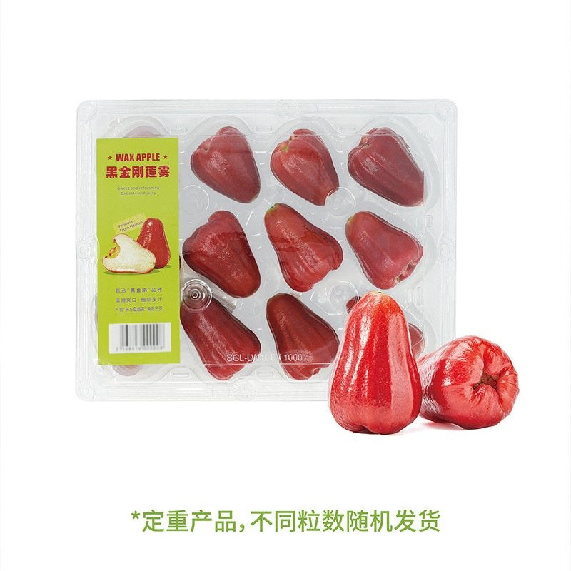 山姆黑金刚莲雾1kg清甜爽口细腻多汁富含膳食纤维生素脆爽口水灵,水产肉类/新鲜蔬果/熟食,莲雾,淘宝优惠券,粉丝福利购,淘宝优惠卷