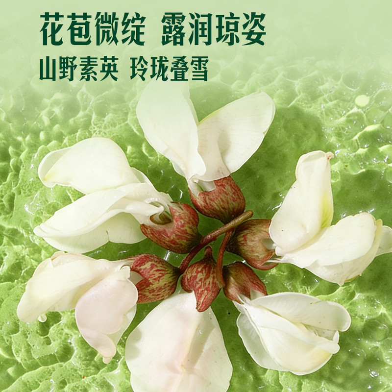 山姆新鲜蔬菜产地直供可食用槐花鸡蛋饼花香浓郁清香甘甜槐花饭蒸