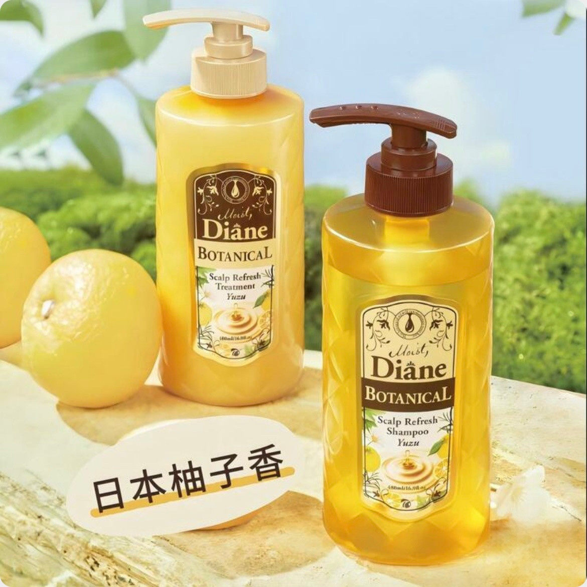 costco开市客日本进口黛丝恩Diane植萃洗发水柚子香头清爽控油2瓶