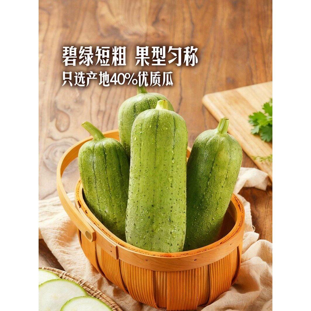 山姆福建龙岩翡翠丝瓜750g新鲜蔬菜肥润碧绿短粗果型匀称细嫩软滑