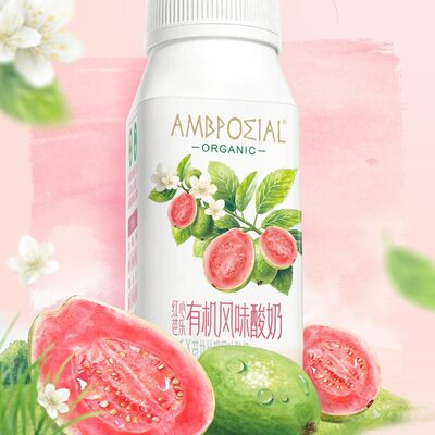 山姆广西红心芭乐有机风味酸奶限定内蒙古有机奶源高蛋白甜糯清香