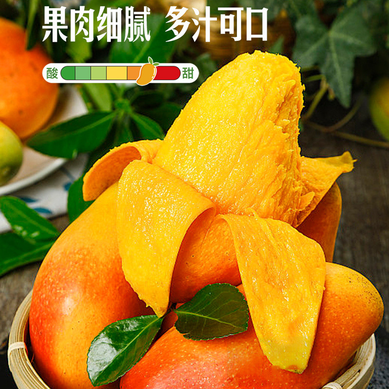 山姆代购海南三亚即食贵妃芒1.3kg新鲜水果自然熟芒果肉细腻甜润