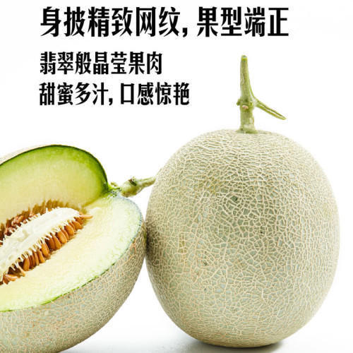 山姆网纹甜瓜2个装≥2.4kg细嫩可口皮薄肉厚脆软两吃香甜细腻多汁