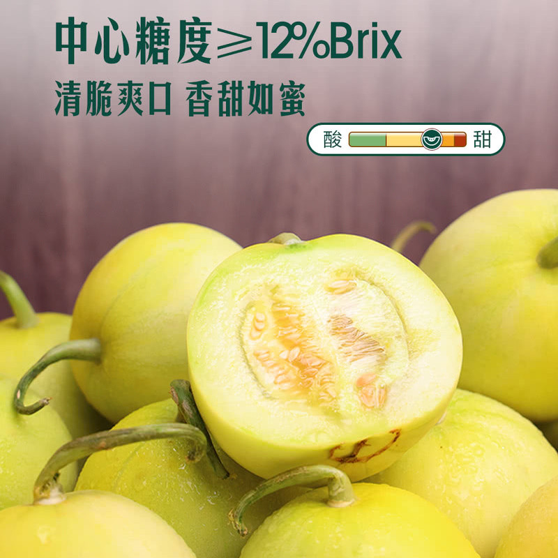 山姆山东青岛马连庄甜瓜1.5kg新鲜水果优质大果单果230g蜜瓜香瓜