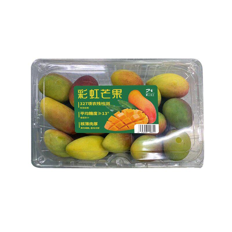 山姆彩虹小芒果1.3kg新鲜水果云南玉溪优质产地香甜多汁核薄肉厚
