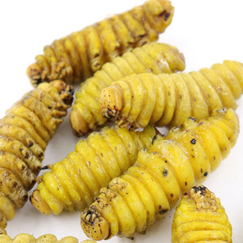 柞蚕大青蚕山蚕东北蝉蛹绿蚕糖宝秋蚕蛹新鲜速冻干净排便500g包邮