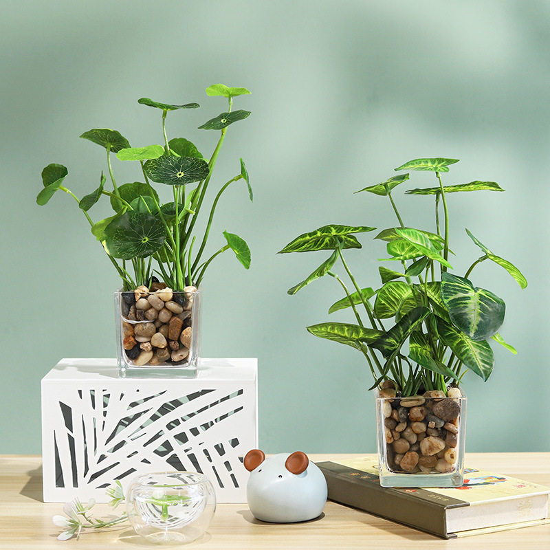 小清新玻璃瓶四叶草 万年青 仿真绿植盆栽摆件 家居办公桌面摆设