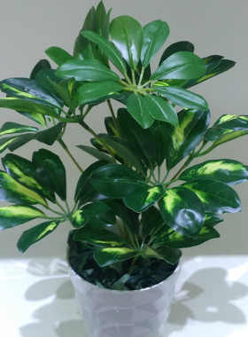 仿真植物绿植鸭脚木盆景单枝绿色花艺背景墙客厅装饰绿叶厂家直销