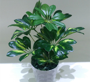 仿真植物绿植鸭脚木盆景单枝绿色花艺背景墙客厅装饰绿叶厂家直销