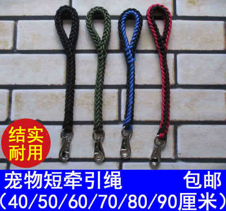短牵引绳中型大型犬一步宠物