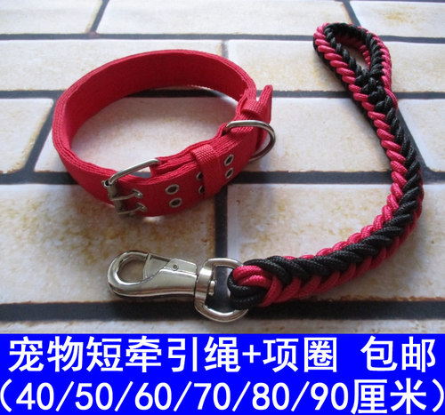 中大型犬项圈套装宠物狗狗牵引绳