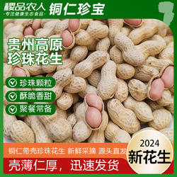 2025年新货贵州铜仁珍珠花生带壳新鲜晒干粉红皮小花生孕妇零食