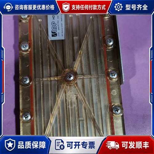 议价IBP MEDICAL GmbH，型号HDW5，实物如图可维修