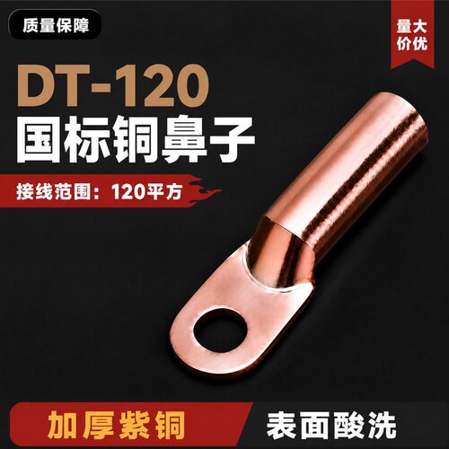 国标DT-120平方铜鼻线鼻子接线鼻接线端子铜线耳堵油铜接头A级