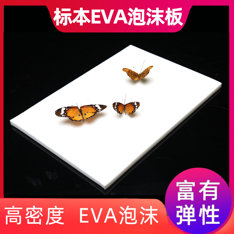 昆虫标本制作价格 昆虫标本制作图片 星期三