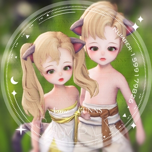 【4Gunns】剑灵巅峰服怀旧服国服韩服台服虚幻四 灵族 捏脸数据