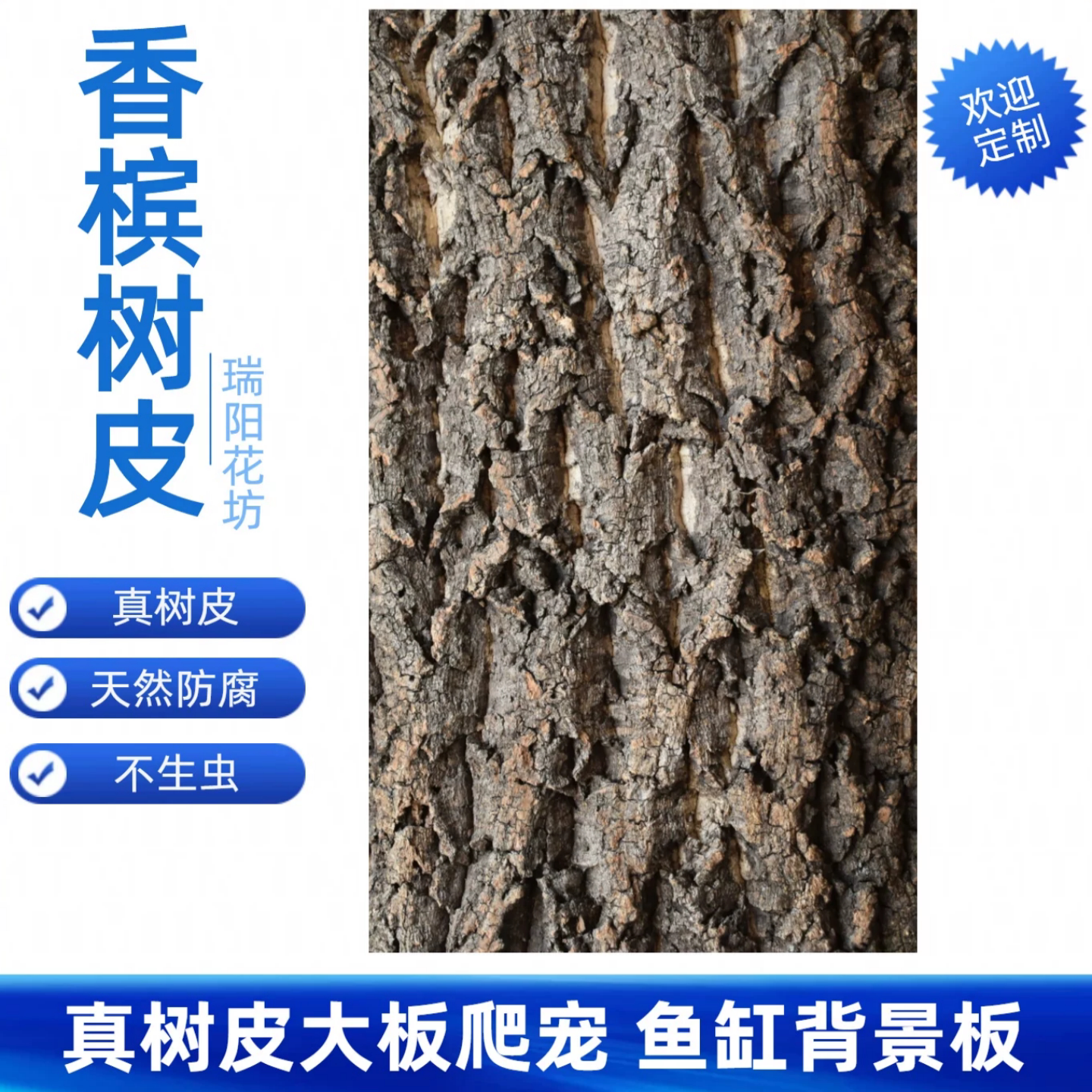 香槟树皮爬宠背景板防腐不生虫图片
