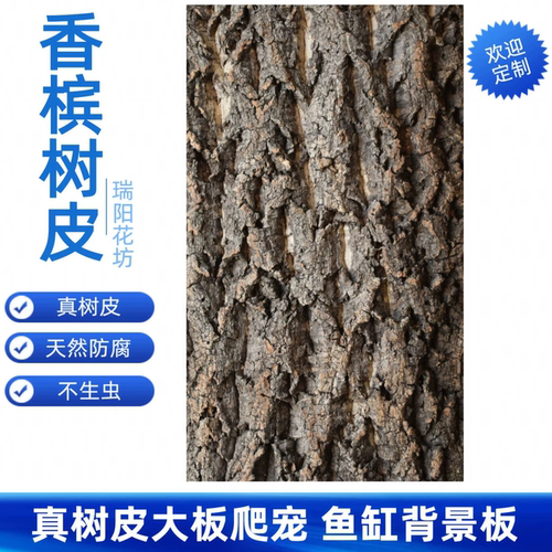 香槟树皮爬宠背景板防腐不生虫