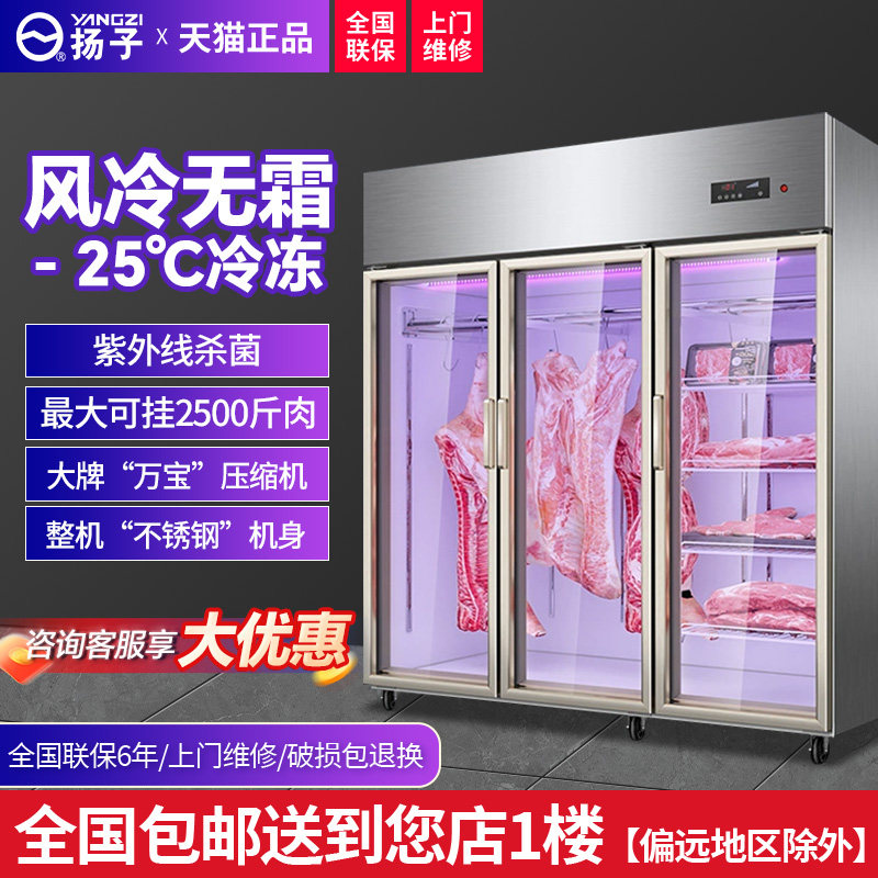 扬子挂肉柜商用牛羊肉保鲜展示柜子冷藏冰柜吊肉立式冷冻柜排酸柜