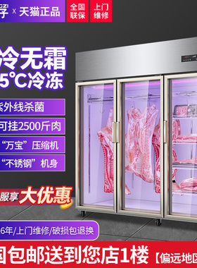 扬子挂肉柜商用牛羊肉保鲜展示柜子冷藏冰柜吊肉立式冷冻柜排酸柜