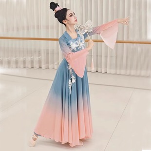 儿童古典舞舞蹈服独舞折枝盼演出服中国舞艺考剧目服装飘逸大摆裙