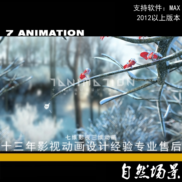 特写镜头 树枝 腊梅冬天梅花 森林 湿地 雪景 下雪