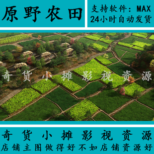 高精度自然场景古代农田 原野 田野 田地庄稼 田园3Dmax模型