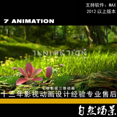 自然场景特写镜头森林 树林 草地 湿地 大树 植物 花3Dmax模型