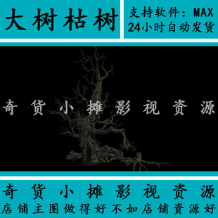 高精模型植物 树根 古树 枯树 大树 树洞 老树 朽木3Dmax模型