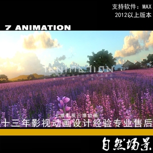 影视动画级别 花海（薰衣草）大草原 养殖地 种植长田地3Dmax模型