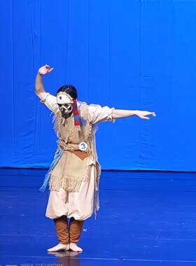 PDE国际舞蹈展演《稻守梦》男子独舞卡其色古典舞个性表演服定制
