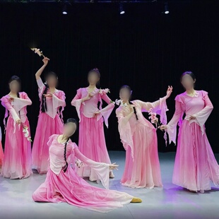 《闲庭絮》中国古典舞女子群舞同款舞蹈演出表演服专业定制