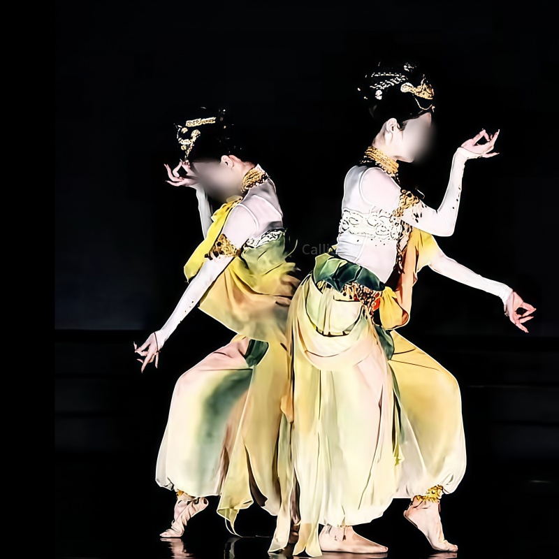《双生》古典舞舞蹈服