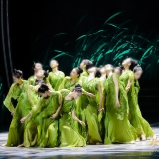 《疾风知劲草》女子群舞绿色飘逸褶皱设计清新系定制现代舞表演服